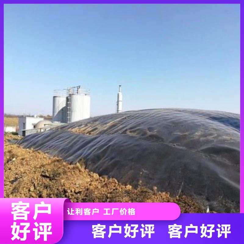 土工膜【涤纶土工格栅】厂家直销供货稳定