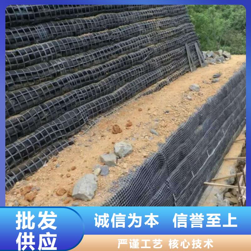 土工格栅_【钢塑土工格栅厂家】多行业适用