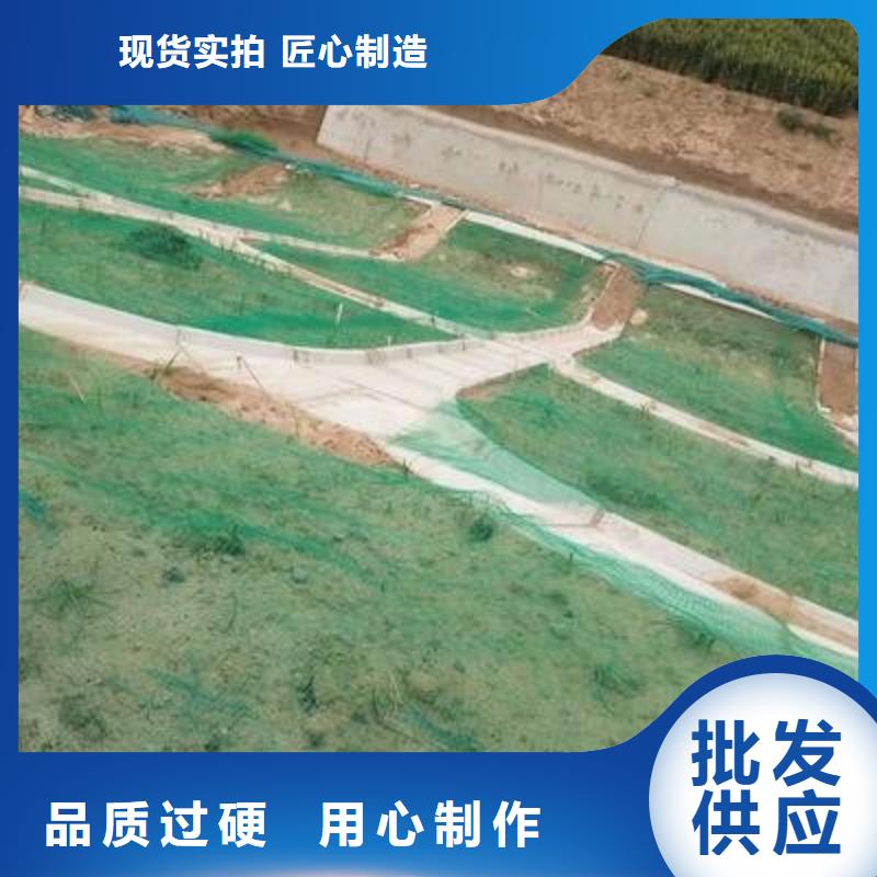 三维植被网多向塑料土工格栅产地货源