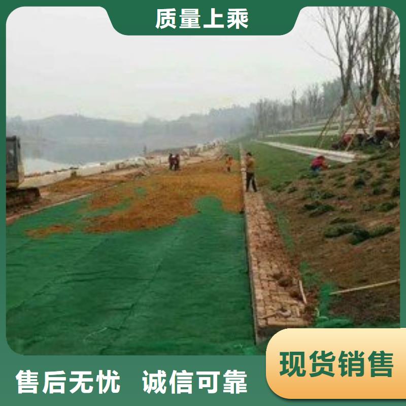 【三维植被网】-双向塑料土工格栅严格把控每一处细节