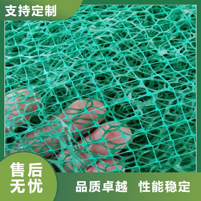 三维植被网涤纶土工格栅高质量高信誉