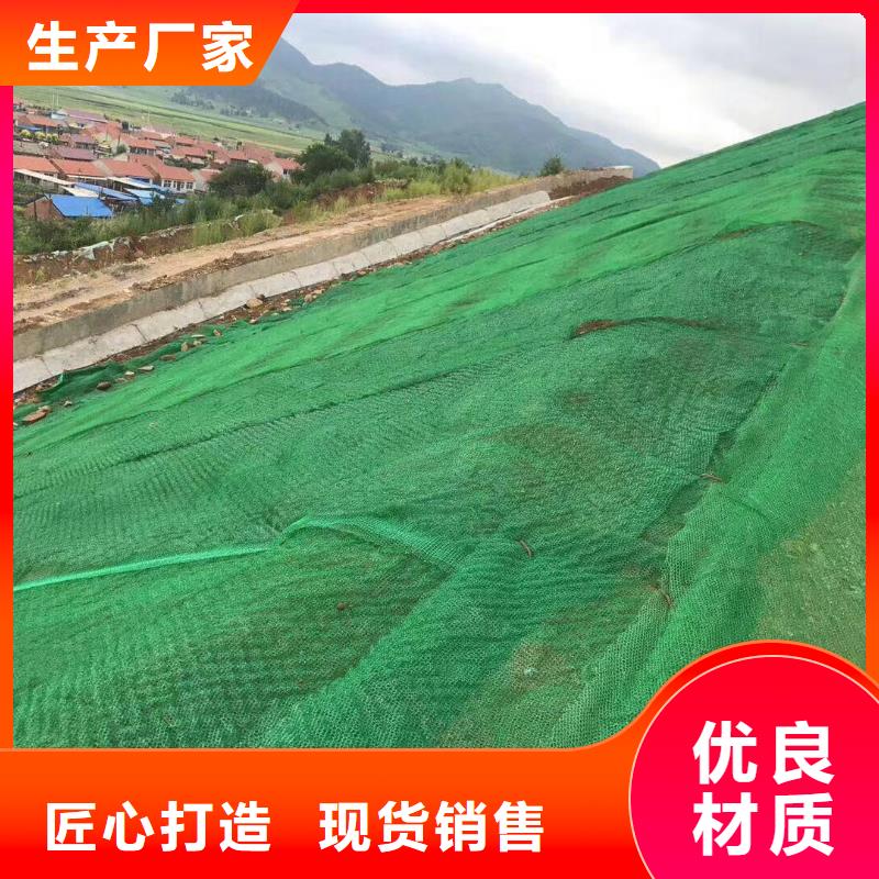 三维植被网双向塑料土工格栅工厂批发