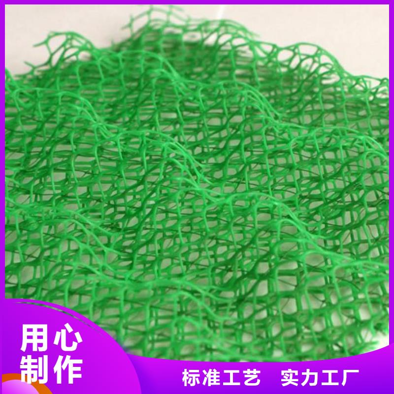 三维植被网【玻纤土工格栅】全品类现货