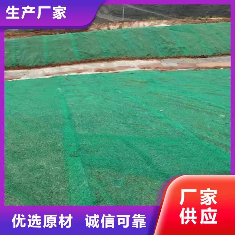 三维植被网【单向塑料土工格栅】口碑好实力强