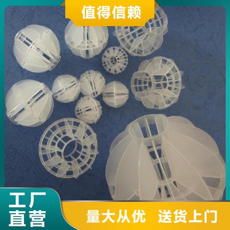 多面空心球-塔器填料商家直供