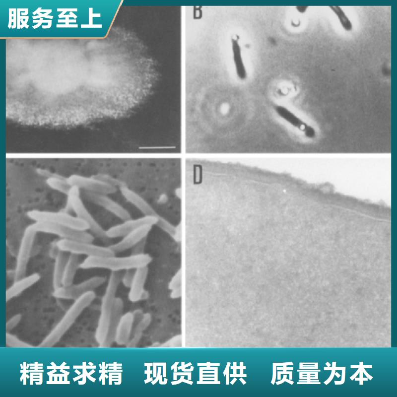 污水处理厂专用碳源可定制