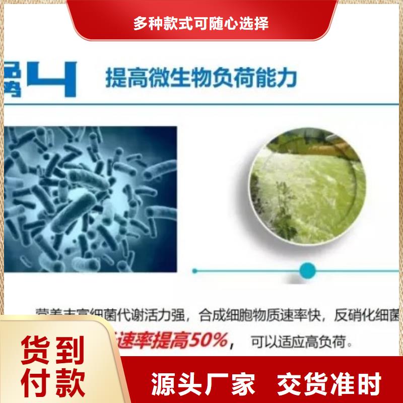 污水处理厂专用碳源价格