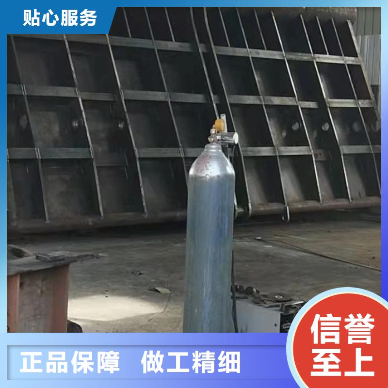  钢闸门N年专注