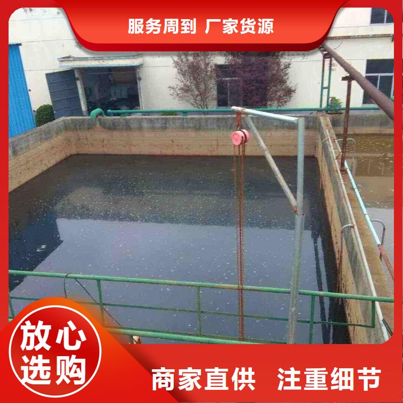 碱式氯化铝脱色剂今年新款