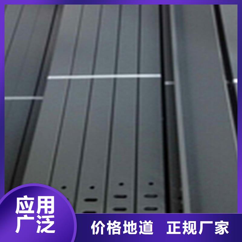 梯式桥架皮的厂家
