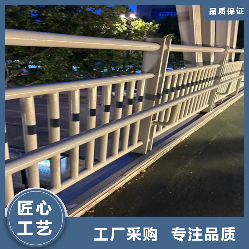 护栏1_市政道路防护栏实拍展现