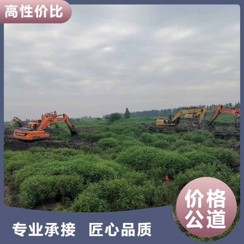 水上挖机水陆两用挖机出租快速