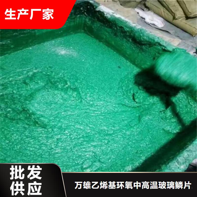 【玻璃鳞片胶泥环氧煤沥青漆丰富的行业经验】