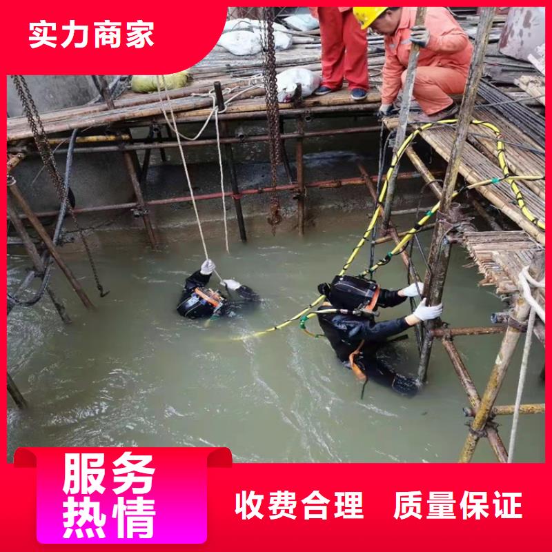 水下探摸工程视频-水下探摸工程-浙江省温州市平阳|泰顺|丽水|嘉兴|舟山|湖州|金华(附近)厂家