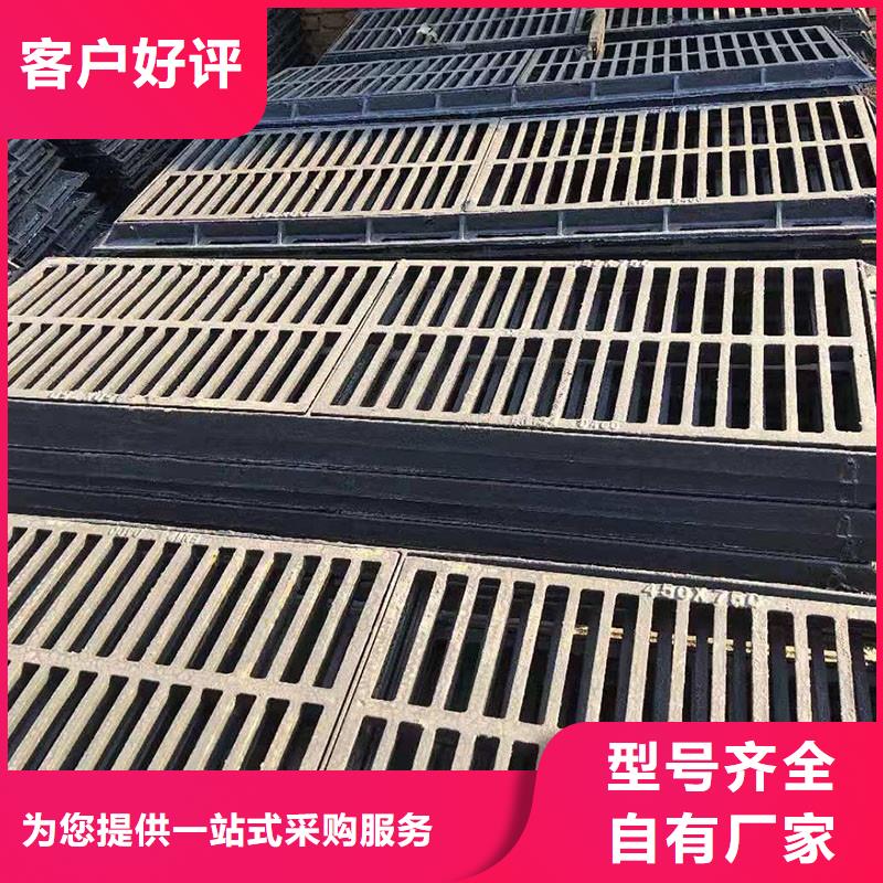 球墨铸铁爬梯/踏步用途广泛