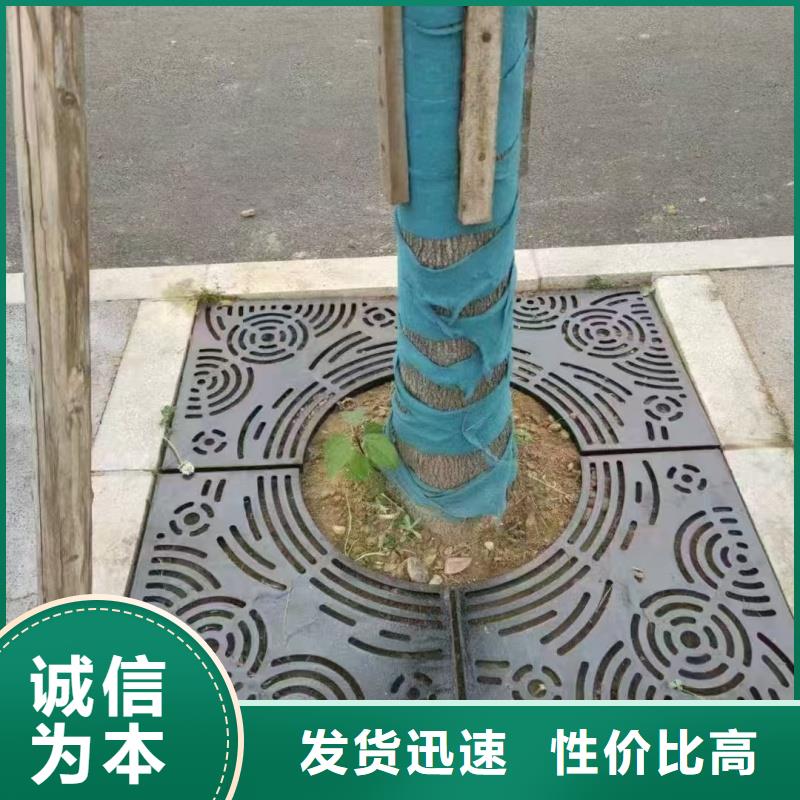 镂空雨水篦子厂家