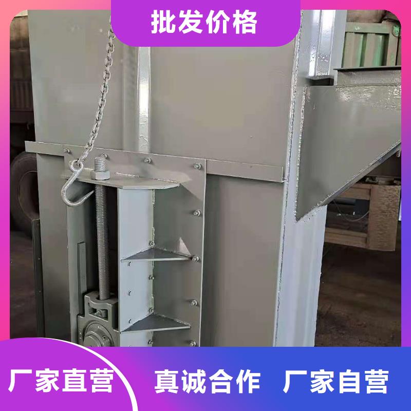 TD315斗式机生产