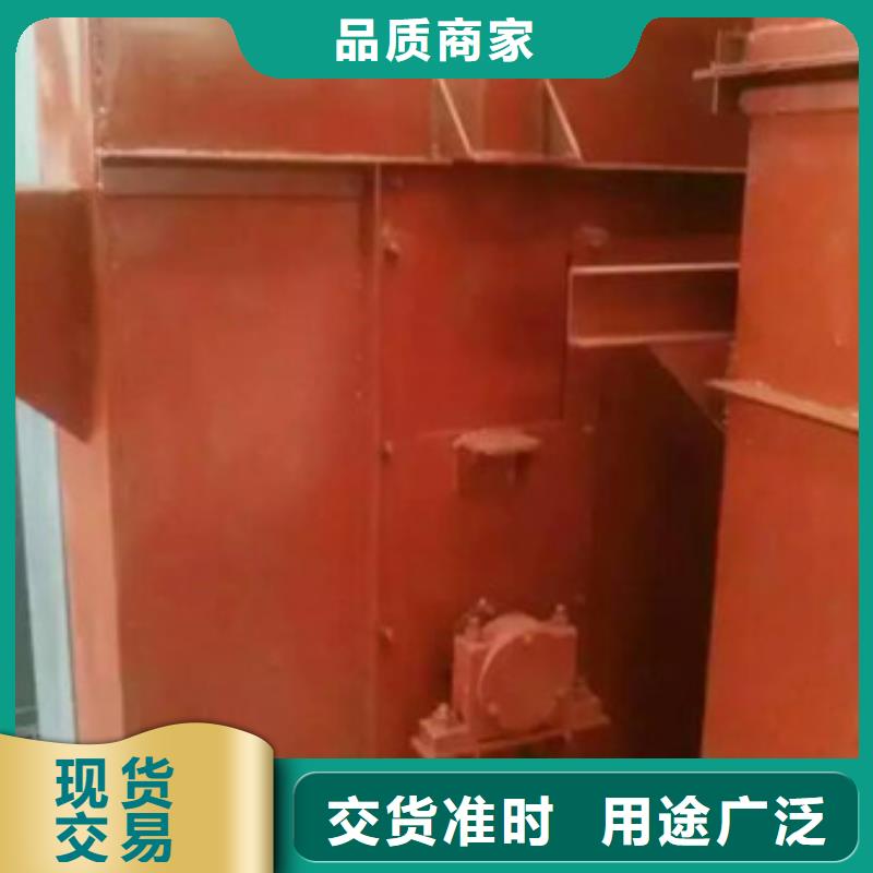 TD315斗式机生产