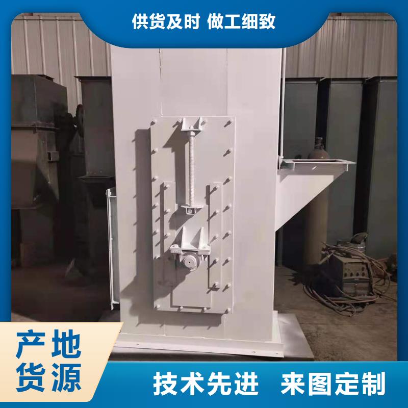 TD钢丝胶带型斗式机正规厂家