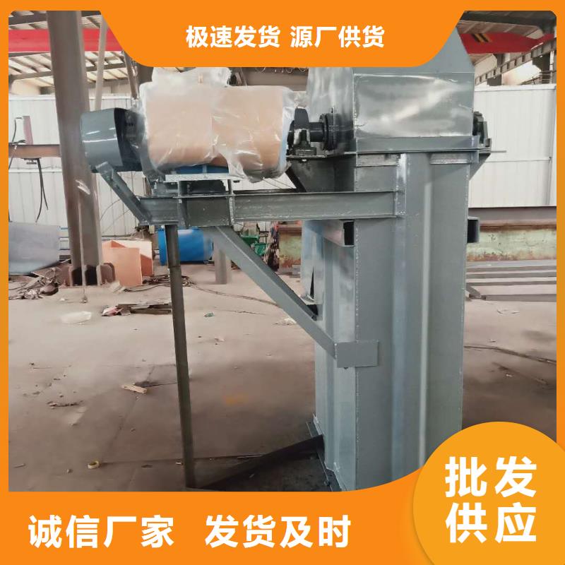 TD315斗式机生产