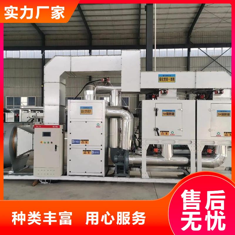 co催化燃烧装置支持定制