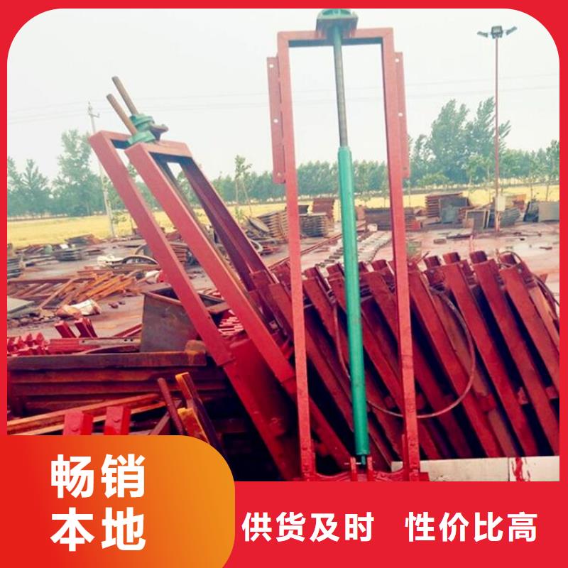 铸铁闸门机门一体闸门款式多样