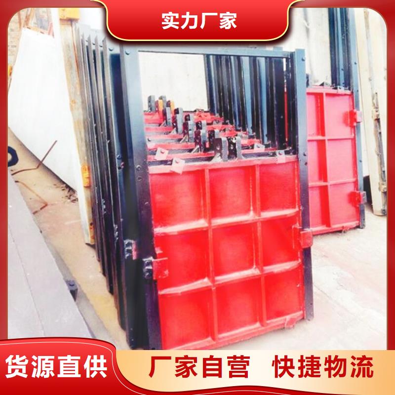 铸铁闸门机门一体闸门款式多样