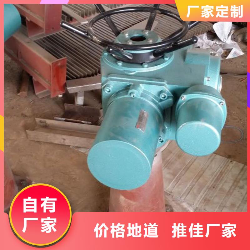 螺杆启闭机电动头启闭机细节决定成败