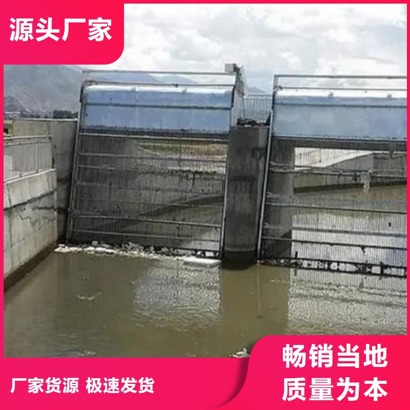 清污机_钢制拍门厂家货源直供