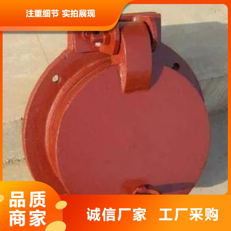 拍门卷扬启闭机厂家品质之选