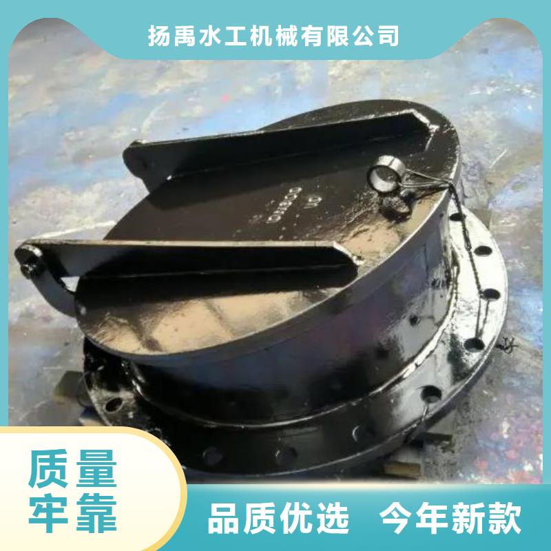 拍门_【暗杆式启闭机】定制销售售后为一体