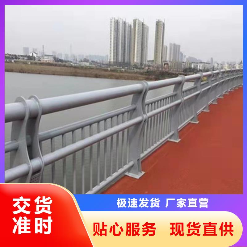 桥梁护栏,市政道路防护栏极速发货