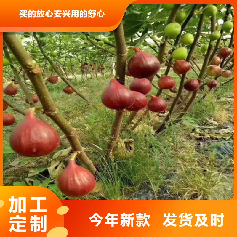 无花果花椒苗产品性能