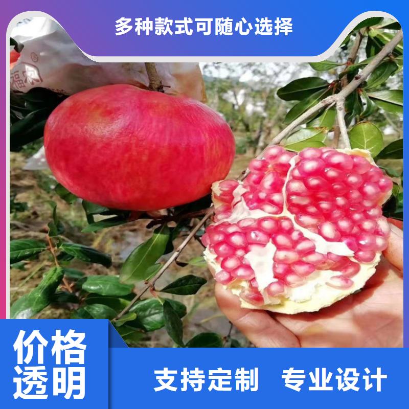 石榴苹果苗把实惠留给您