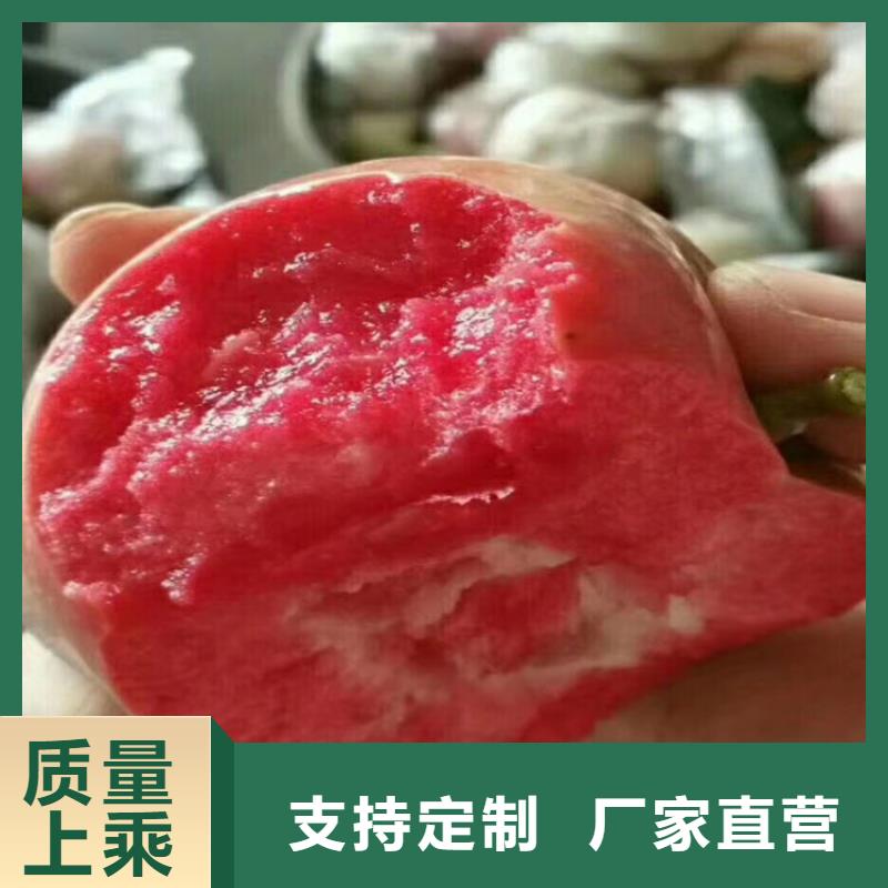 苹果【苹果苗】一站式服务