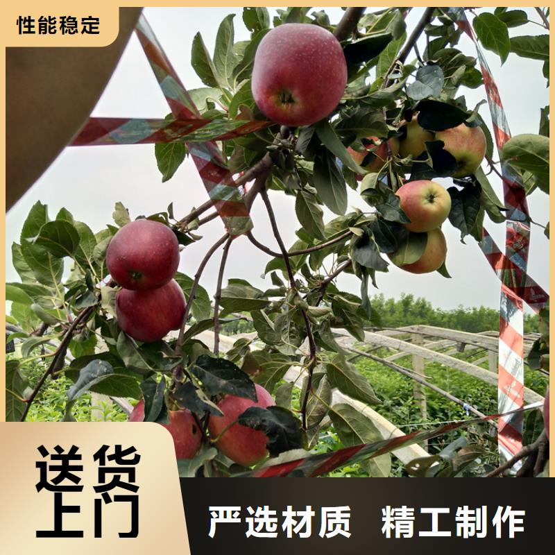 苹果-草莓苗拥有核心技术优势