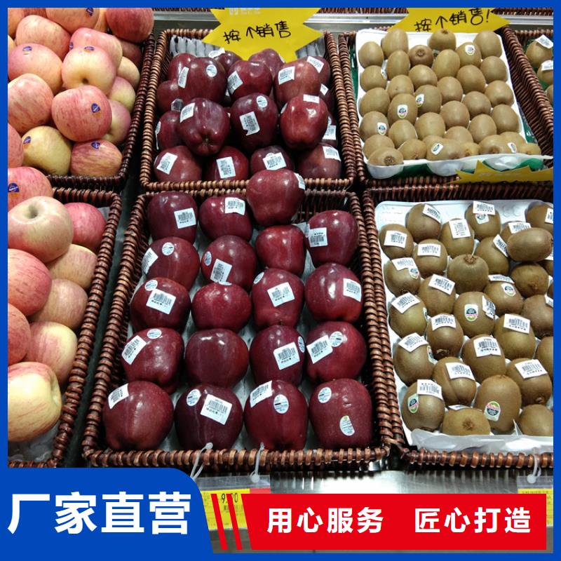 苹果苹果苗精致工艺