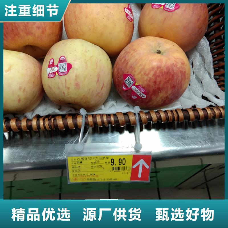 【苹果,无花果苗优良工艺】
