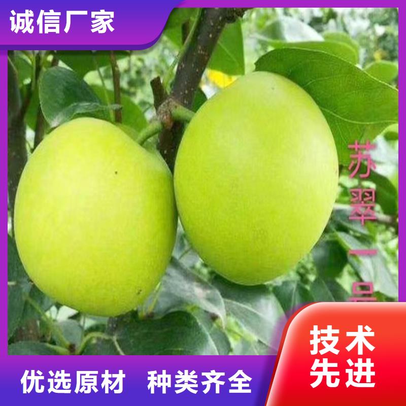 【 梨树_桃树苗大品牌值得信赖】