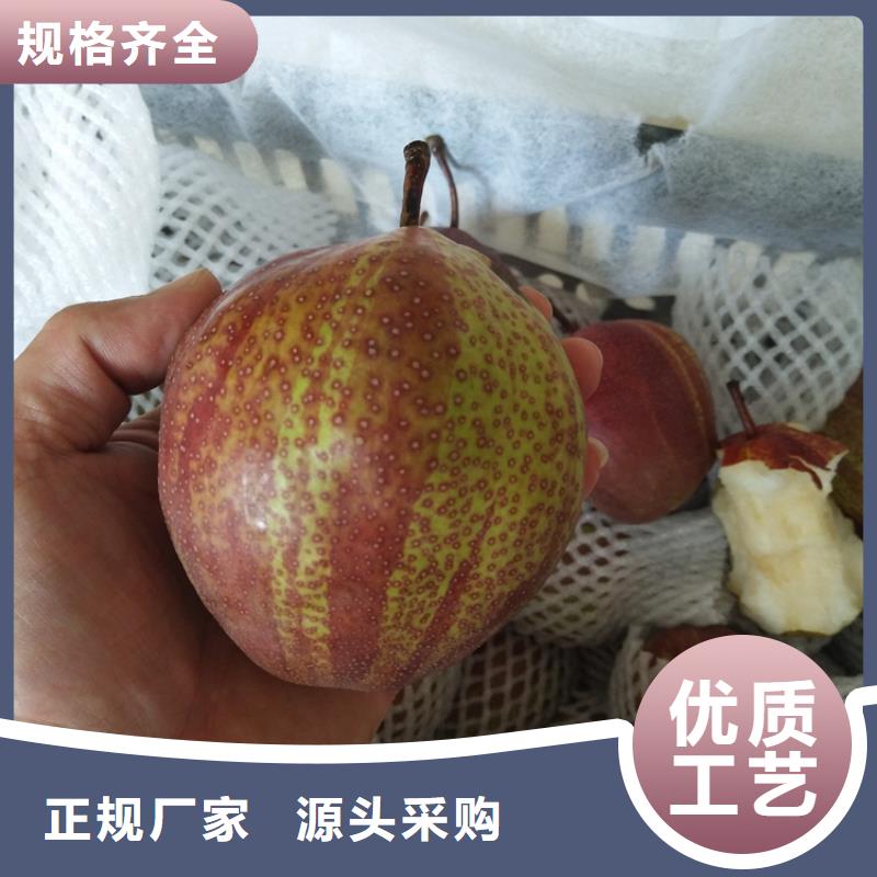 轩园西瓜番石榴苗【 梨树_板栗苗价格实惠工厂直供】cg39.com