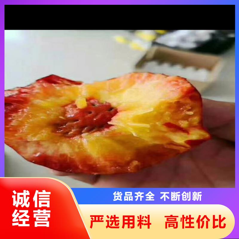桃_蓝莓苗多行业适用