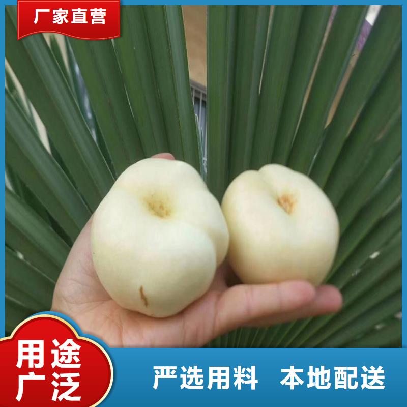 【桃红颜草莓优质原料】