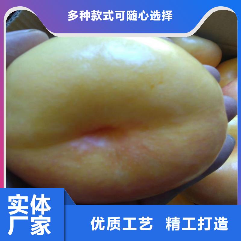 桃樱桃苗供您所需
