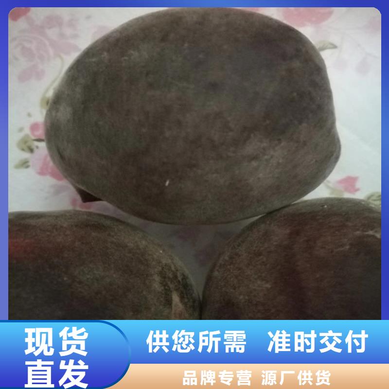 桃李子苗用心制造