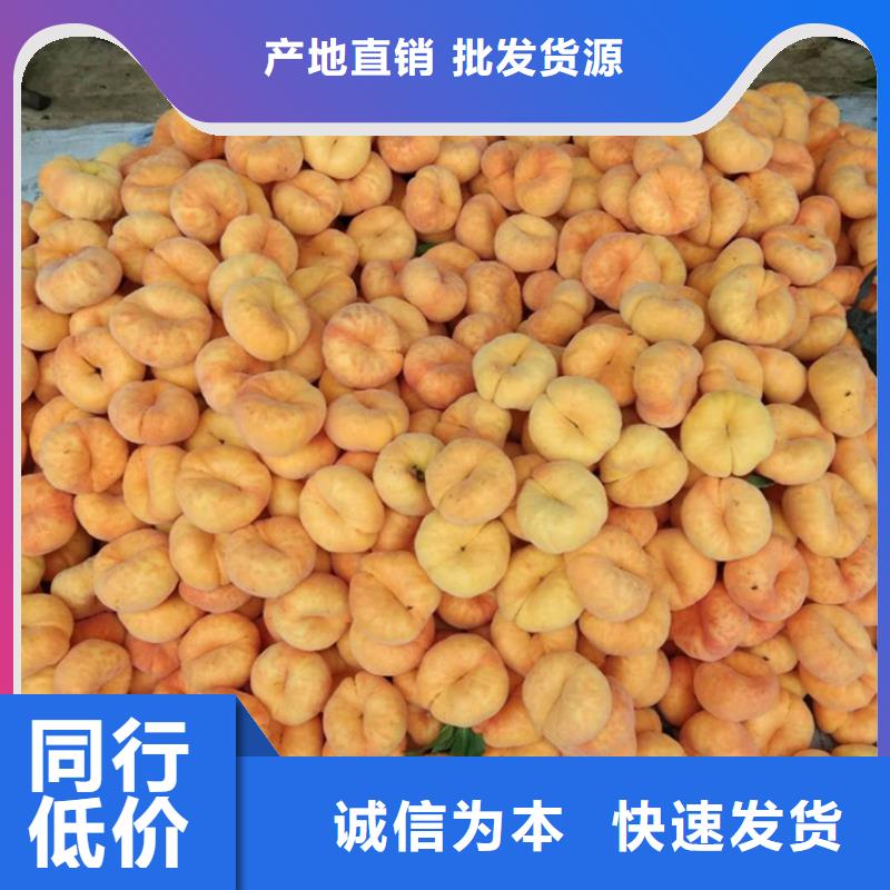 桃,梨树苗性价比高
