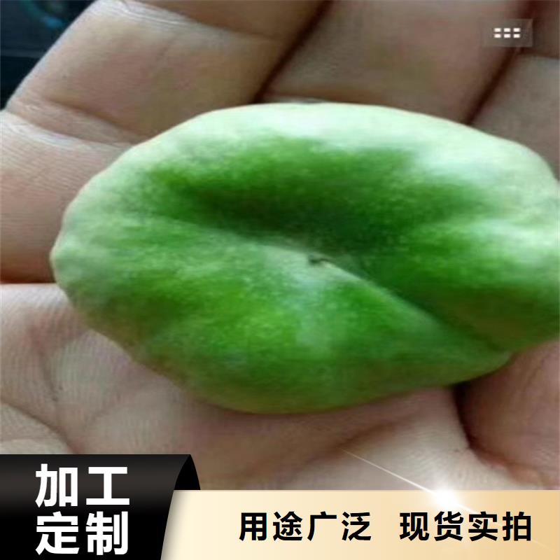 桃-樱桃苗精选好货