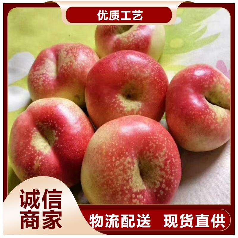 桃【猕猴桃苗】把实惠留给您