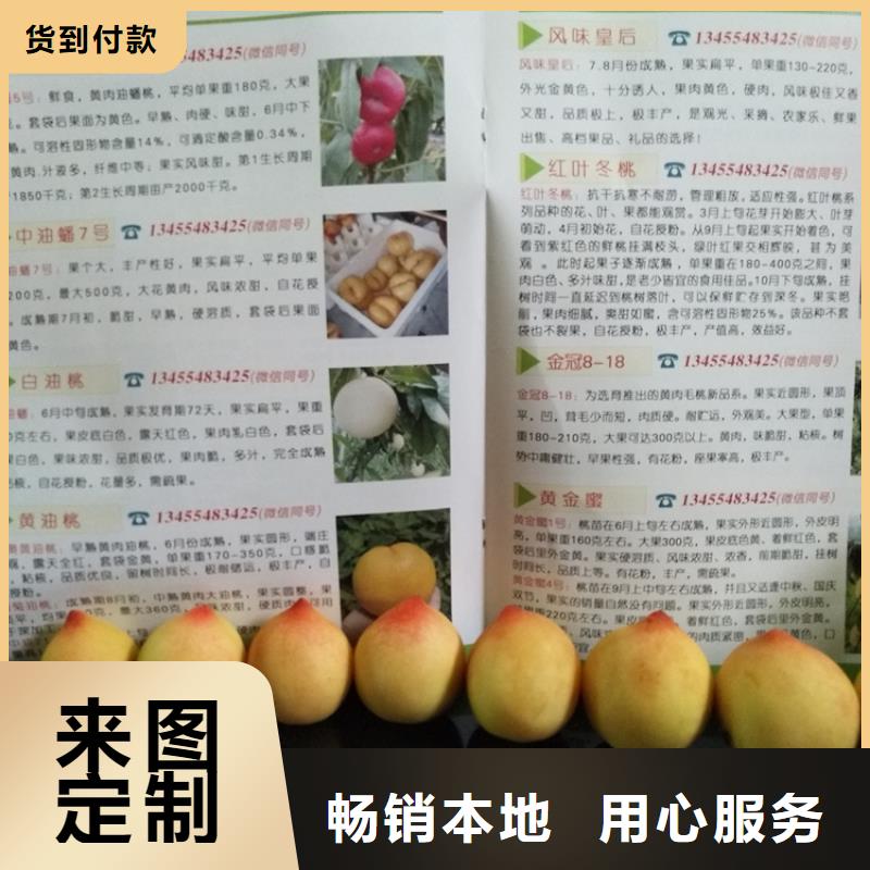 桃李子苗用心制造