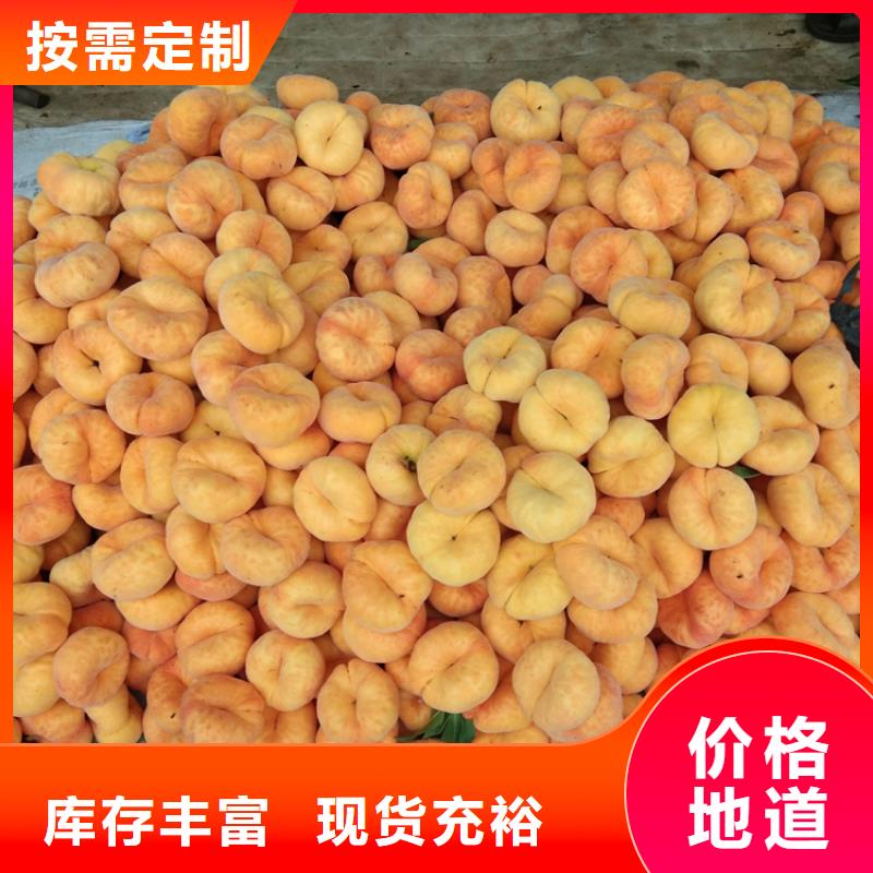 桃樱桃苗供您所需