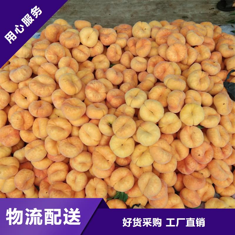 【桃3公分石榴苗量大更优惠】